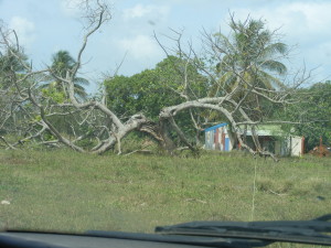 DSCF0013