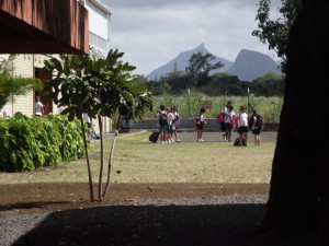 DSCF3266