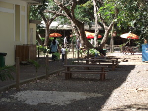 DSCF3267