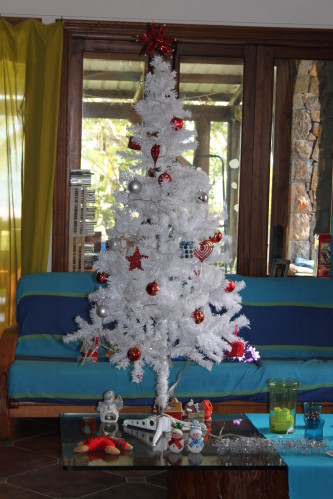 decembre2012 4287