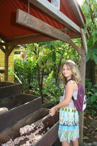 fevrier2011 0343