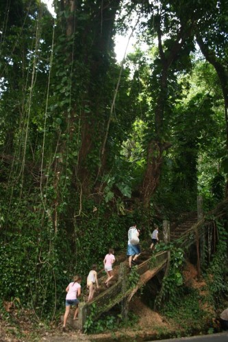 fevrier2011 0885
