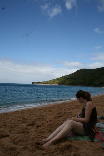 janvier2010 0454