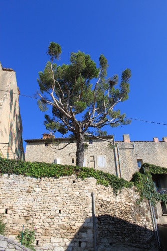 samedi7 0450