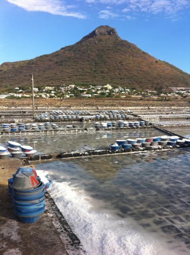 morne 2587