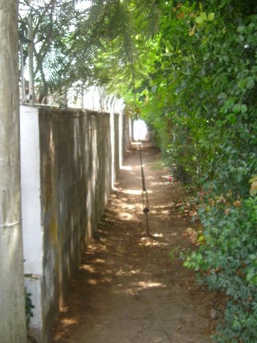 PICT0692