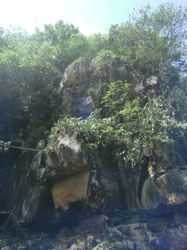 PICT0812