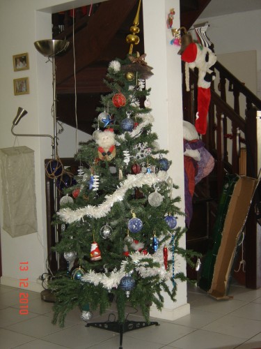 DSC06098