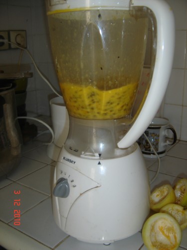 Picture 004
