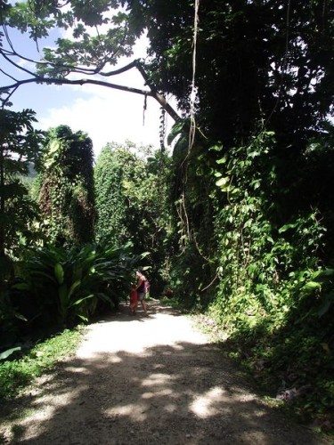 Picture 012