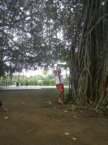PICT0527