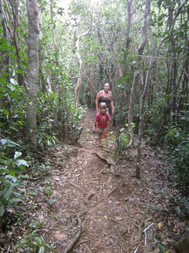 PICT0300