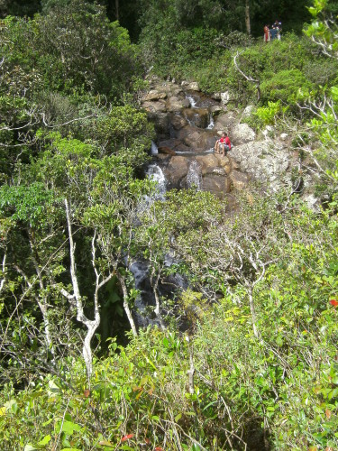 PICT0315