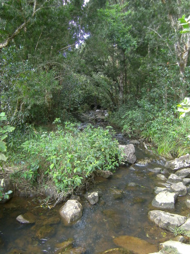 PICT0335