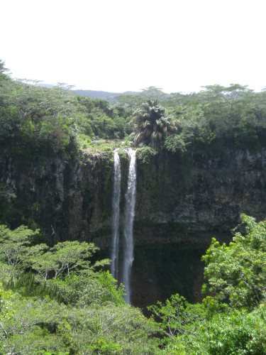 PICT0242