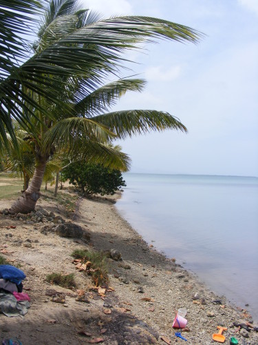 DSCF0068