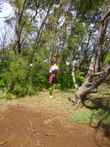 PICT0524