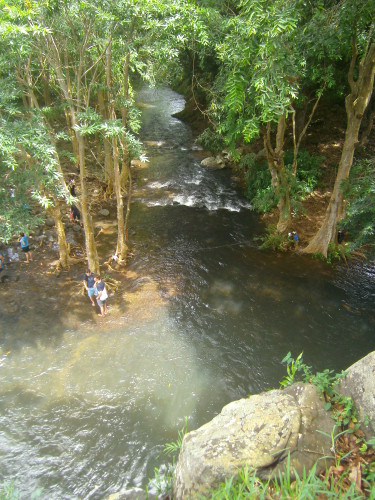 PICT0556
