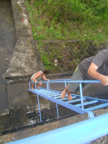 PICT0600