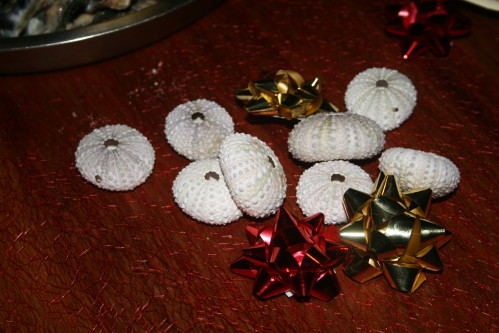 Photo 090