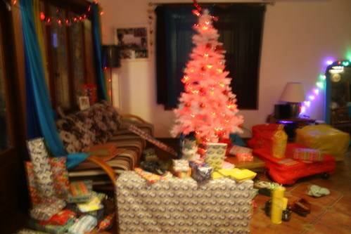 Photo 097