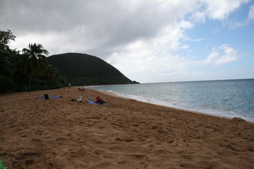 janvier2010 0451