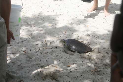 mai2010 2387
