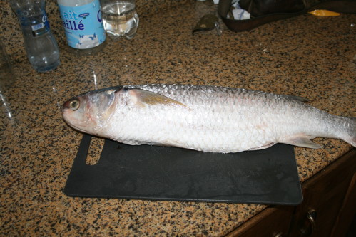 Photo 015