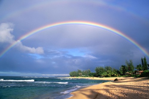 Rainbow-Collection%20-9
