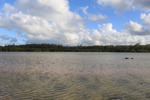 septembre2013 2628