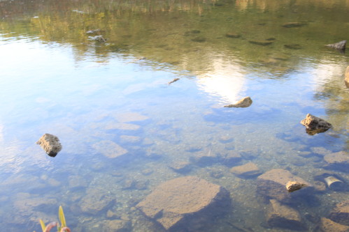 septembre2013 2742