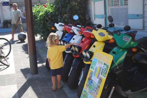 janvier2010 0014