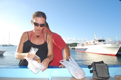 janvier2010 0132