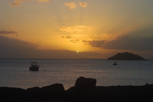 janvier2010 0178