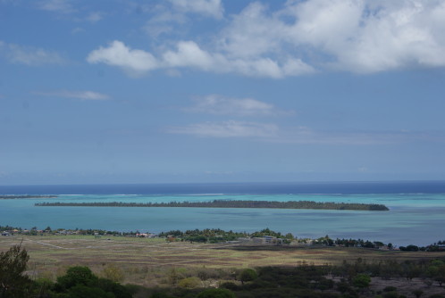 DSC02184