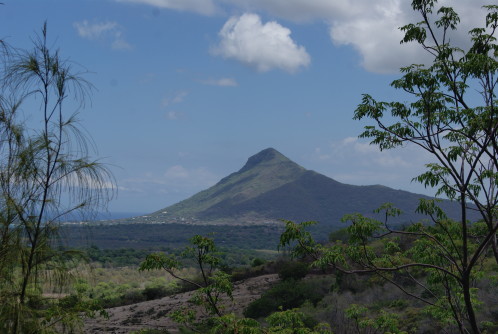 DSC02189