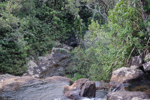 DSC02257