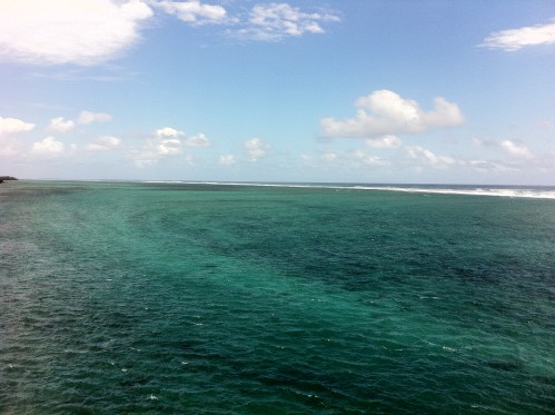 morne 2503