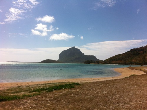 morne 2529