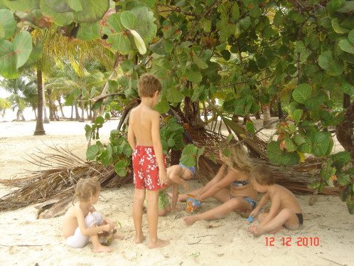 Picture 015
