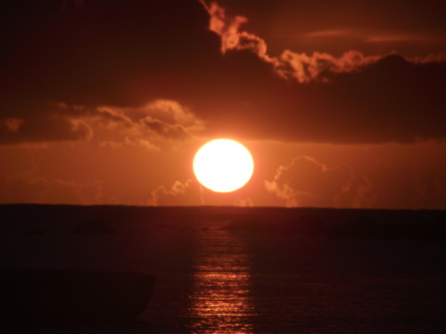DSCF2641
