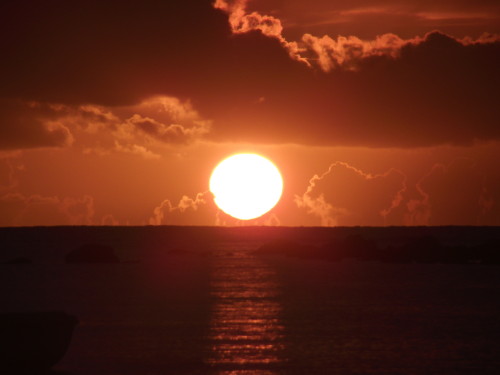 DSCF2644