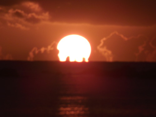 DSCF2647