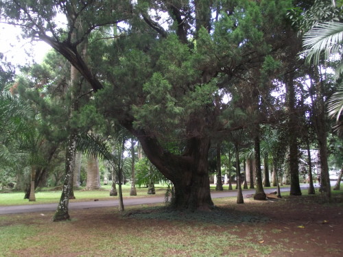 DSCF2490
