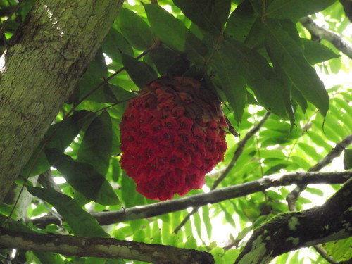 DSCF2519