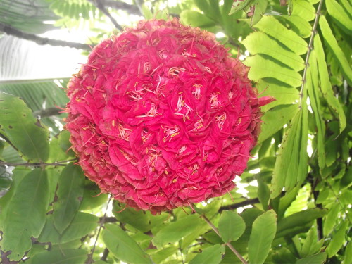 DSCF2522