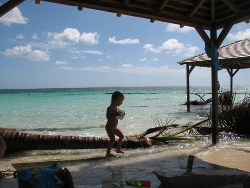 photo 011