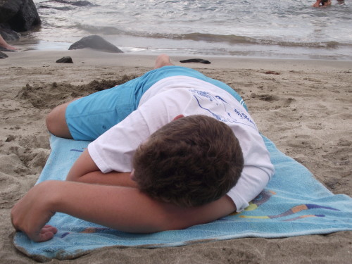 Picture 379