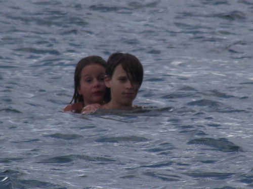 Picture 390