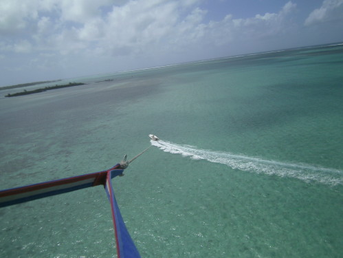 PICT0774